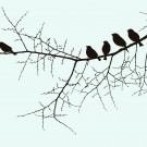 Birds on a twig illustration