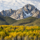 Colorado Autumn