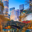 Central Park in Autumn