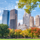 Foliage season in the Central Park