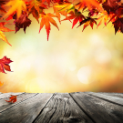 Autumn background with red leaves