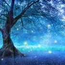 Fairy Tree