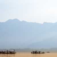 Peacefully Dal lake