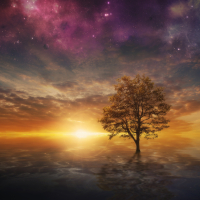Surreal tree in lake