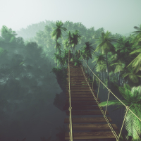 Rope bridge in misty jungle with palms