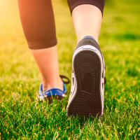 Green grass, woman fitness
