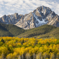 Colorado Autumn