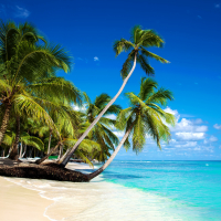 Tropical beach in caribbean sea