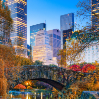 Central Park in Autumn