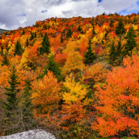 Fall off The Blue Ridge Parkway