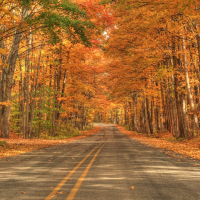 Fall Scene 