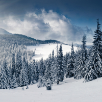 White Winter