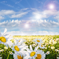 Springtime 