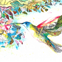 Colorful hummingbird