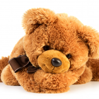 Toy teddy bear