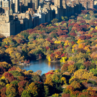 The aerial view of Central Park 