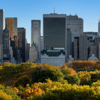 Central Park and Manhattan skyscrapers