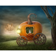Pumpkin carriage