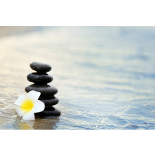 Pebbles and fragipani flower