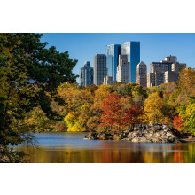 Fall in Central Park