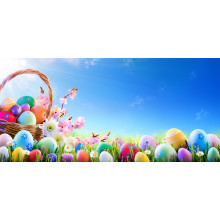 Easter Eggs In Basket