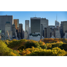 Central Park and Manhattan skyscrapers