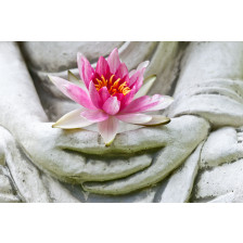 Buddha hands holding flower