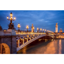 Pont Alexandre III in Paris