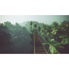 Rope bridge in misty jungle with palms