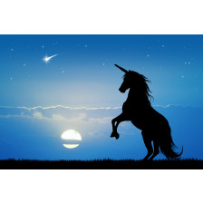 Unicorn at sunset