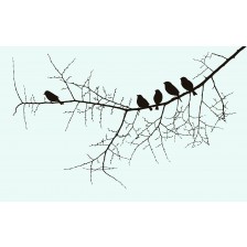 Birds on a twig illustration