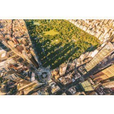  Aerial view of Central Park 