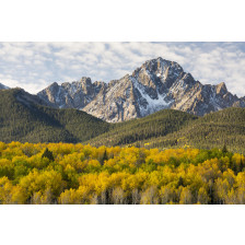 Colorado Autumn