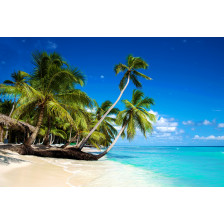 Tropical beach in caribbean sea