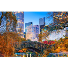 Central Park in Autumn