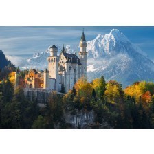 Famous Neuschwanstein Castle in Germany