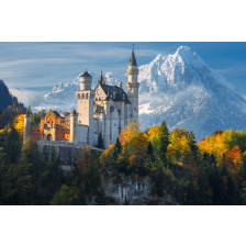 Famous Neuschwanstein Castle in Germany