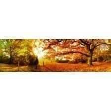 Panoramic Autumn 