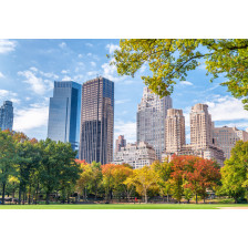 Foliage season in the Central Park