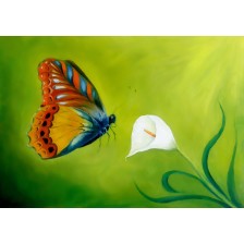 Flying butterfly on green background 