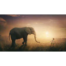 Elephant walked by child