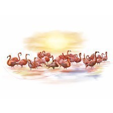 Pink Flamingos Watercolour