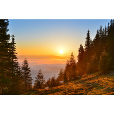 Sunrise forest in spring mountains