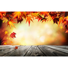 Autumn background with red leaves