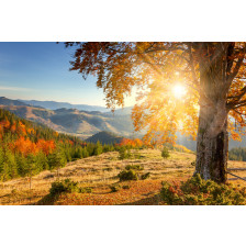 Early Morning Autumnal Landscape