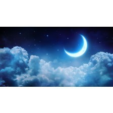 Romantic Moon In Starry Night
