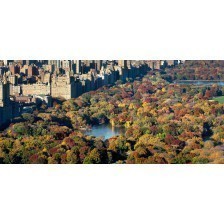 The aerial view of Central Park 