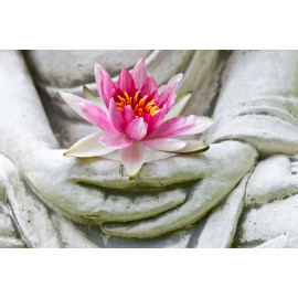 Buddha hands holding flower