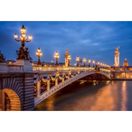 Pont Alexandre III in Paris