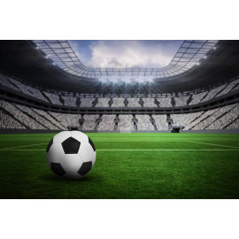 Black and white leather football
